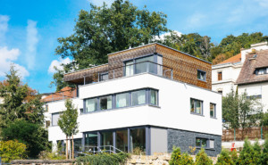 Neubau Doppelhaus