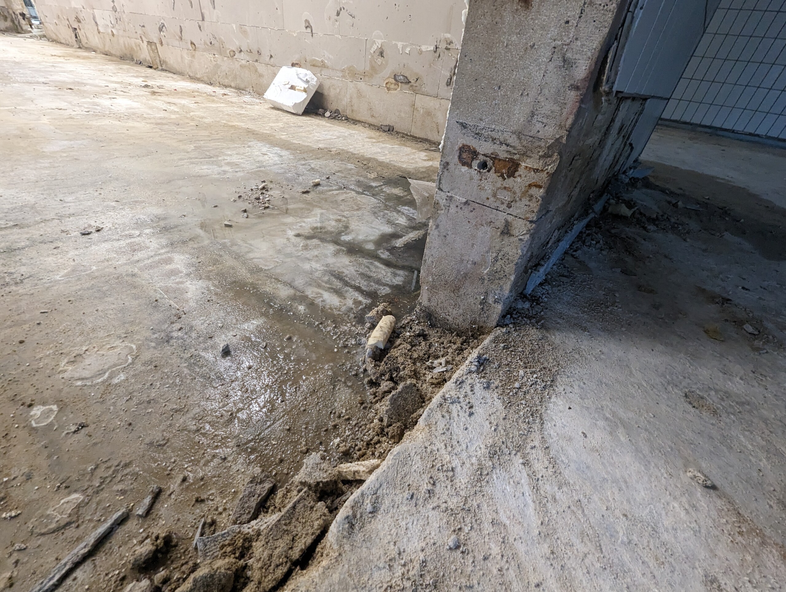 Zustand der Fleischvorbereitung nach Rückbau